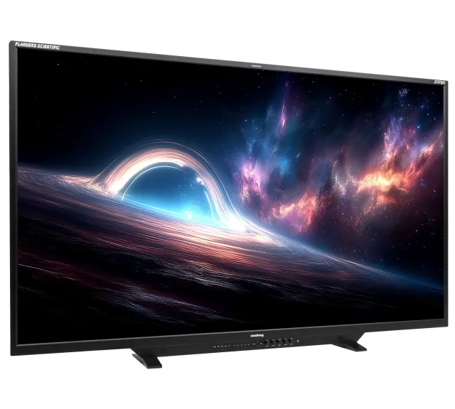 Flanders Scientific XMP651