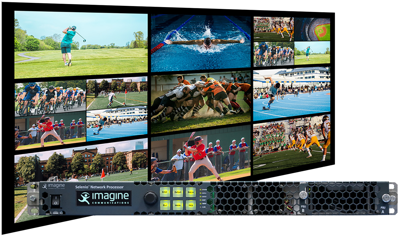 SNP Multiviewer (MV)