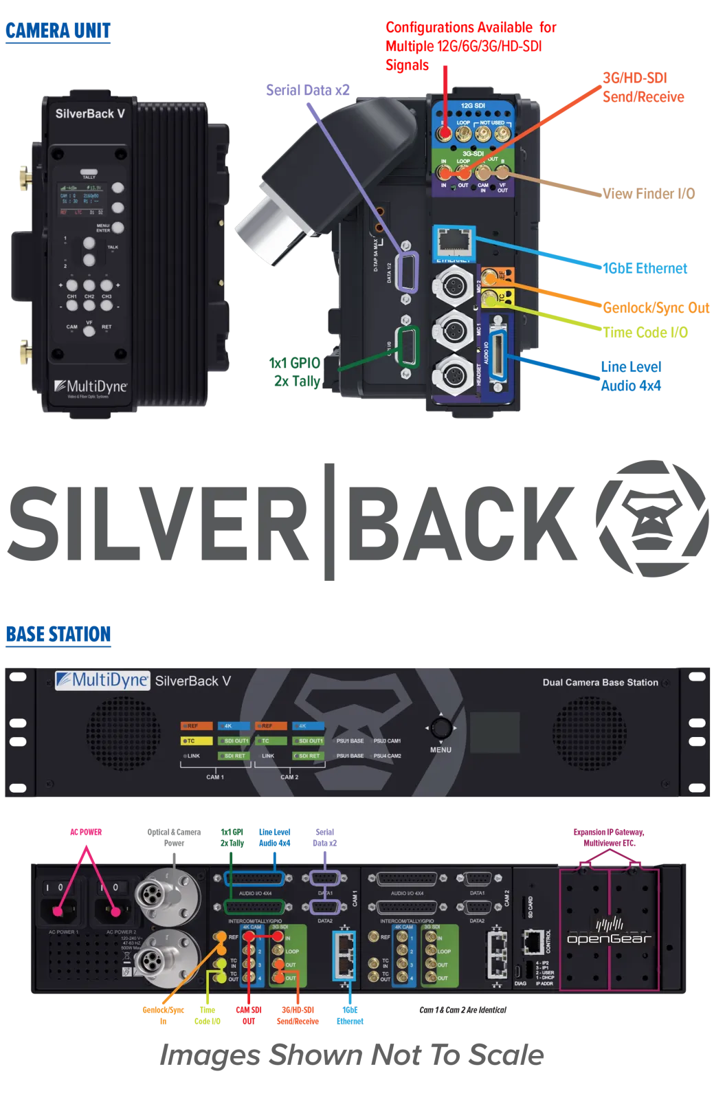 SilverBack V