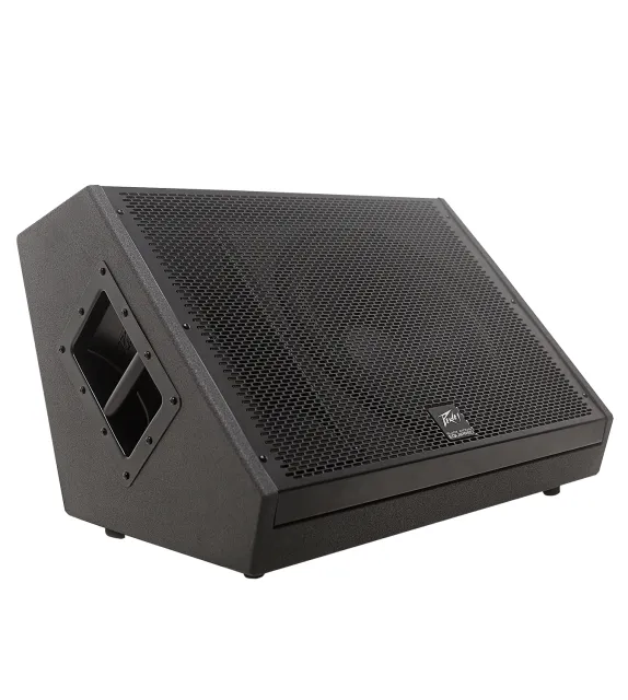 SP 12M 12-inch Floor Monitor
