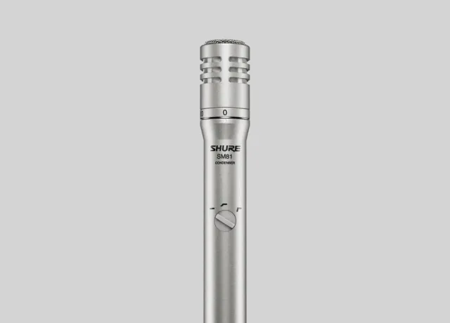 SM81