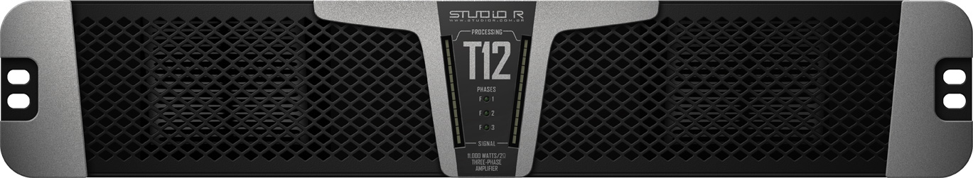 T12