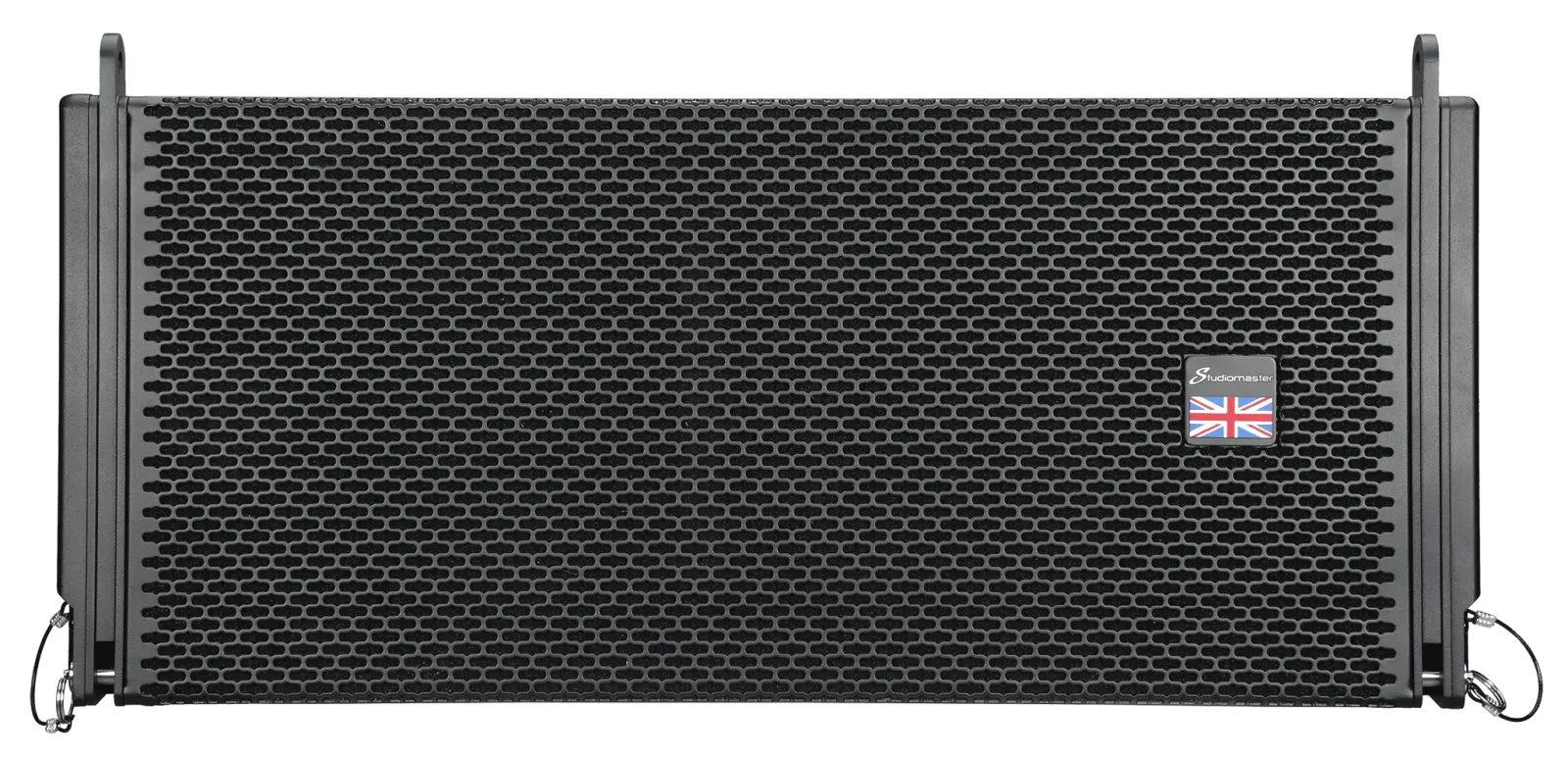 V310