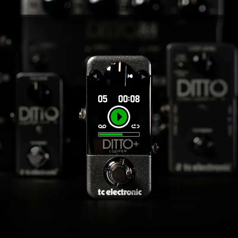 Ditto+ Looper