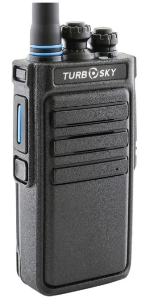 T6
